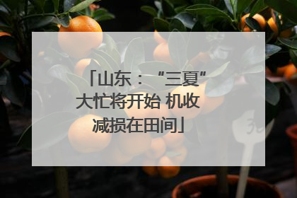 山东：“三夏”大忙将开始 机收减损在田间