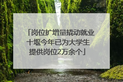 岗位扩增量撬动就业 十堰今年已为大学生提供岗位2万余个