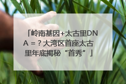 岭南基因+太古里DNA =？大湾区首座太古里年底揭秘“首秀”