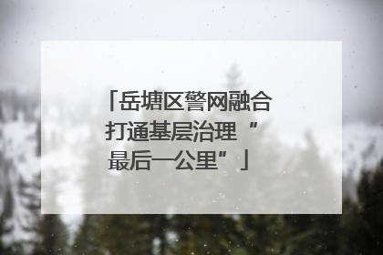 岳塘区警网融合 打通基层治理“最后一公里”