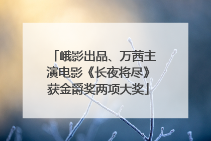 峨影出品、万茜主演电影《长夜将尽》获金爵奖两项大奖