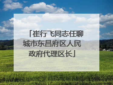 崔行飞同志任聊城市东昌府区人民政府代理区长