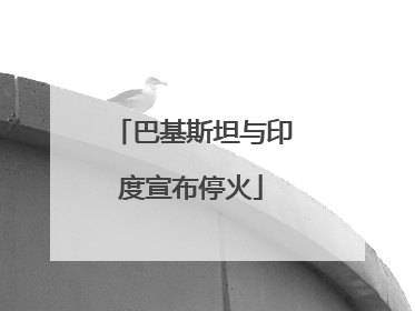 巴基斯坦与印度宣布停火