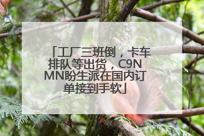 工厂三班倒，卡车排队等出货，C9NMN盼生派在国内订单接到手软