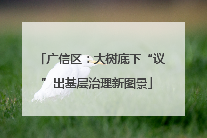 广信区：大树底下“议”出基层治理新图景