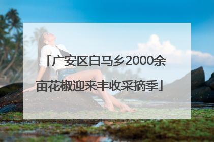 广安区白马乡2000余亩花椒迎来丰收采摘季