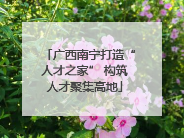 广西南宁打造“人才之家” 构筑人才聚集高地