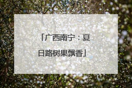 广西南宁：夏日路树果飘香