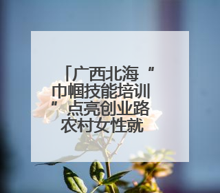广西北海“巾帼技能培训”点亮创业路 农村女性就业之路变宽