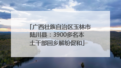 广西壮族自治区玉林市陆川县：3900多名本土干部回乡解纷促和