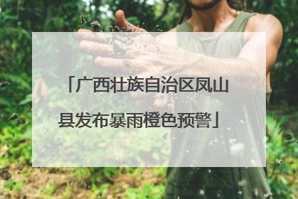 广西壮族自治区凤山县发布暴雨橙色预警