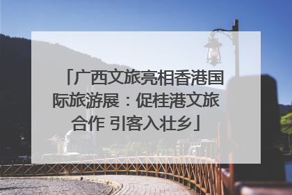 广西文旅亮相香港国际旅游展：促桂港文旅合作 引客入壮乡