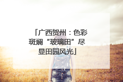 广西贺州：色彩斑斓“玻璃田”尽显田园风光