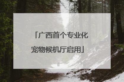 广西首个专业化宠物候机厅启用