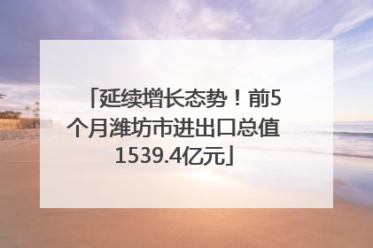 延续增长态势！前5个月潍坊市进出口总值1539.4亿元