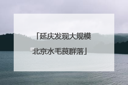 延庆发现大规模北京水毛茛群落