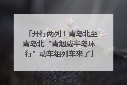开行两列！青岛北至青岛北“青烟威半岛环行”动车组列车来了