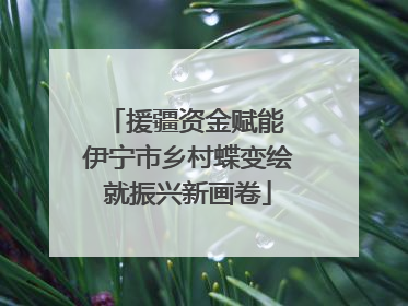 援疆资金赋能 伊宁市乡村蝶变绘就振兴新画卷