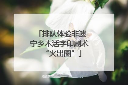 排队体验非遗 宁乡木活字印刷术“火出圈”