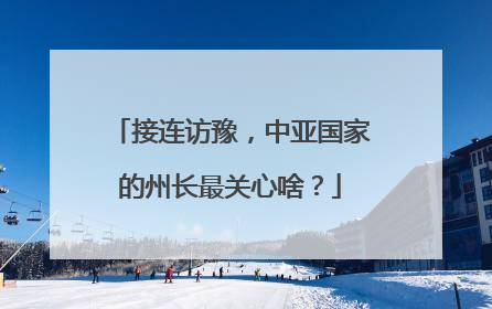 接连访豫，中亚国家的州长最关心啥？
