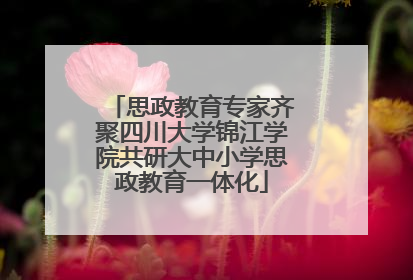 思政教育专家齐聚四川大学锦江学院共研大中小学思政教育一体化