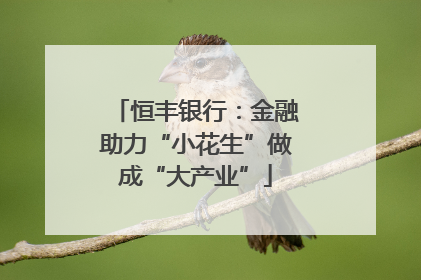 恒丰银行：金融助力“小花生”做成“大产业”
