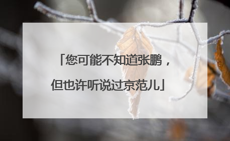 您可能不知道张鹏，但也许听说过京范儿