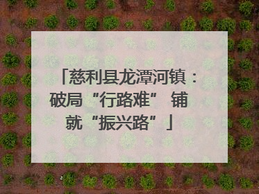 慈利县龙潭河镇：破局“行路难” 铺就“振兴路”