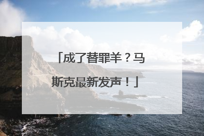 成了替罪羊？马斯克最新发声！