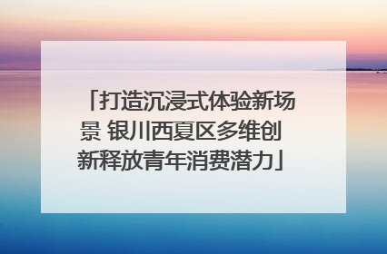 打造沉浸式体验新场景 银川西夏区多维创新释放青年消费潜力
