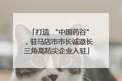 打造 “中国药谷”，驻马店市市长诚邀长三角高精尖企业入驻