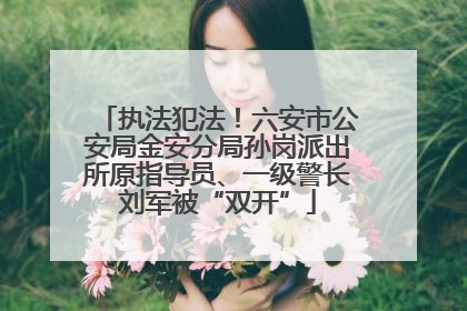 执法犯法！六安市公安局金安分局孙岗派出所原指导员、一级警长刘军被“双开”