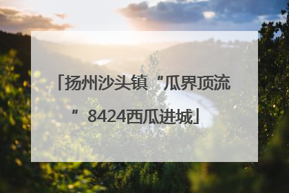 扬州沙头镇“瓜界顶流”8424西瓜进城