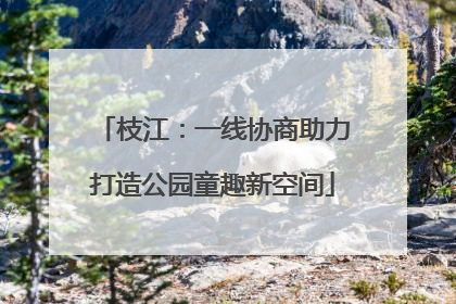 枝江：一线协商助力打造公园童趣新空间