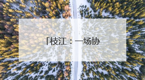 枝江：一场协商会后，164名困境儿童有了“委员妈妈”