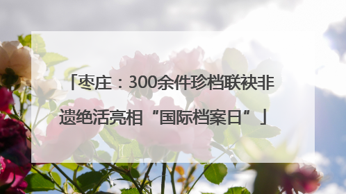枣庄：300余件珍档联袂非遗绝活亮相“国际档案日”