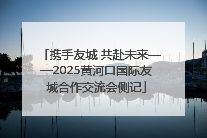 携手友城 共赴未来——2025黄河口国际友城合作交流会侧记