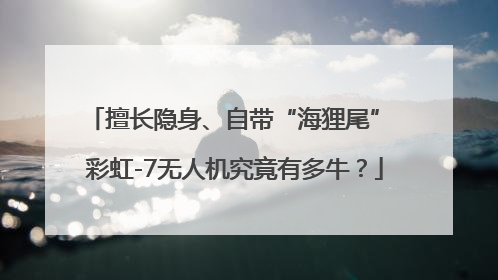 擅长隐身、自带“海狸尾” 彩虹-7无人机究竟有多牛？