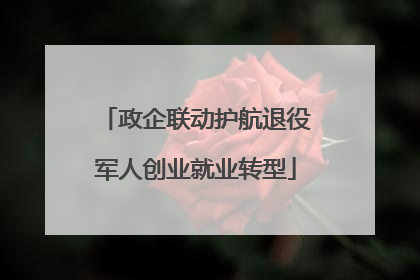 政企联动护航退役军人创业就业转型