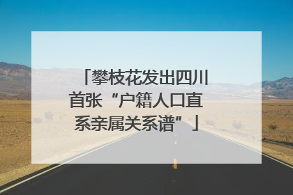 攀枝花发出四川首张“户籍人口直系亲属关系谱”