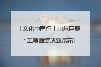 文化中国行丨山东巨野：工笔画绽放致富花