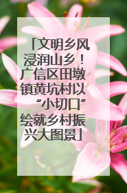 文明乡风浸润山乡！广信区田墩镇黄坑村以“小切口”绘就乡村振兴大图景