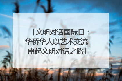 文明对话国际日：华侨华人以艺术交流串起文明对话之路