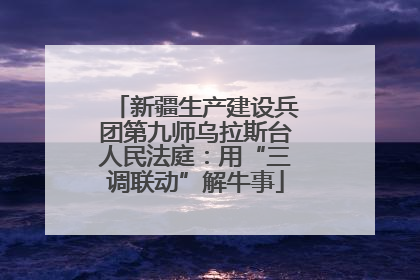 新疆生产建设兵团第九师乌拉斯台人民法庭：用“三调联动”解牛事
