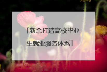 新余打造高校毕业生就业服务体系