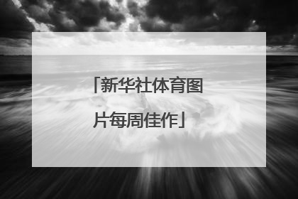 新华社体育图片每周佳作