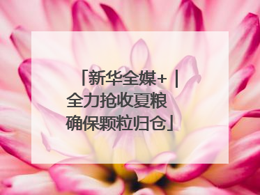新华全媒+｜全力抢收夏粮 确保颗粒归仓