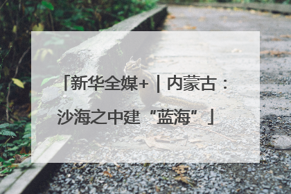 新华全媒+｜内蒙古：沙海之中建“蓝海”