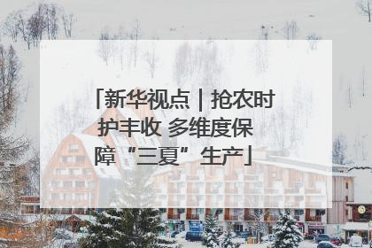 新华视点｜抢农时 护丰收 多维度保障“三夏”生产