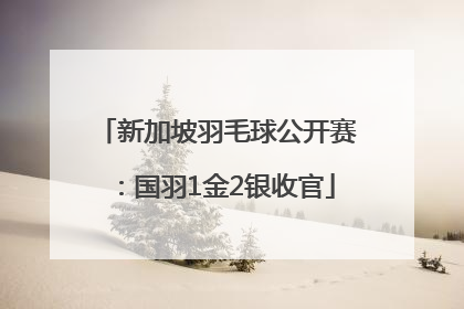 新加坡羽毛球公开赛：国羽1金2银收官